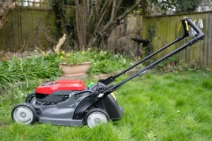 Lire la suite à propos de l’article Comment choisir une bonne tondeuse à gazon pour votre jardin